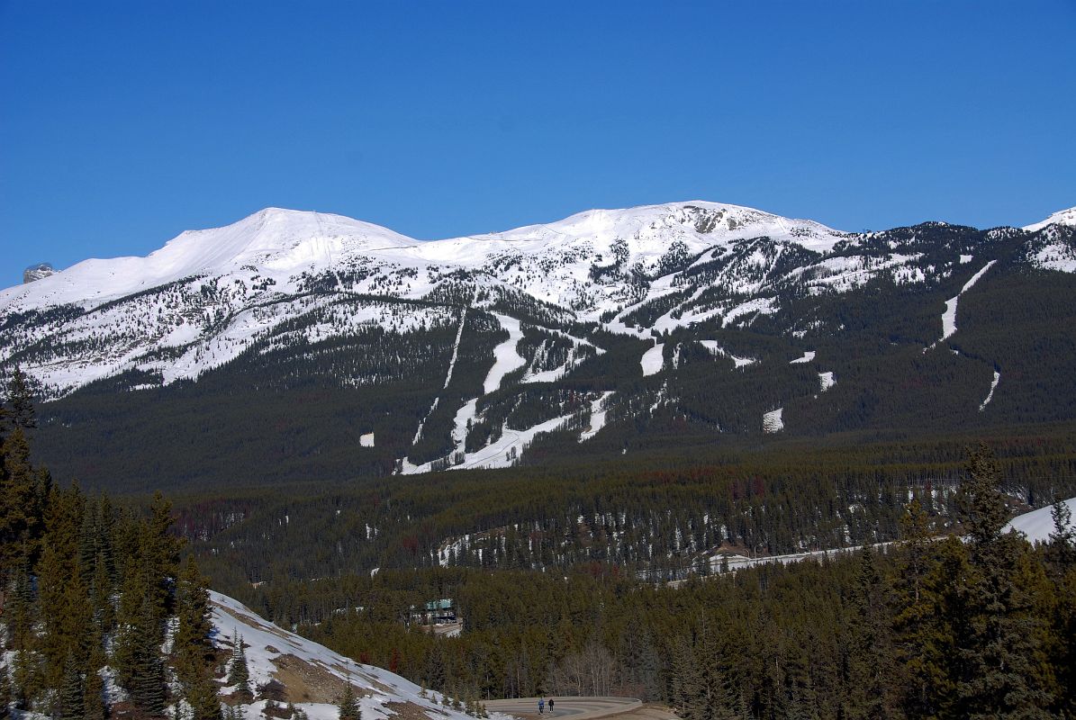 01A Lake Louise Ski Area On Mount Whitehorn From Lake Louise Road